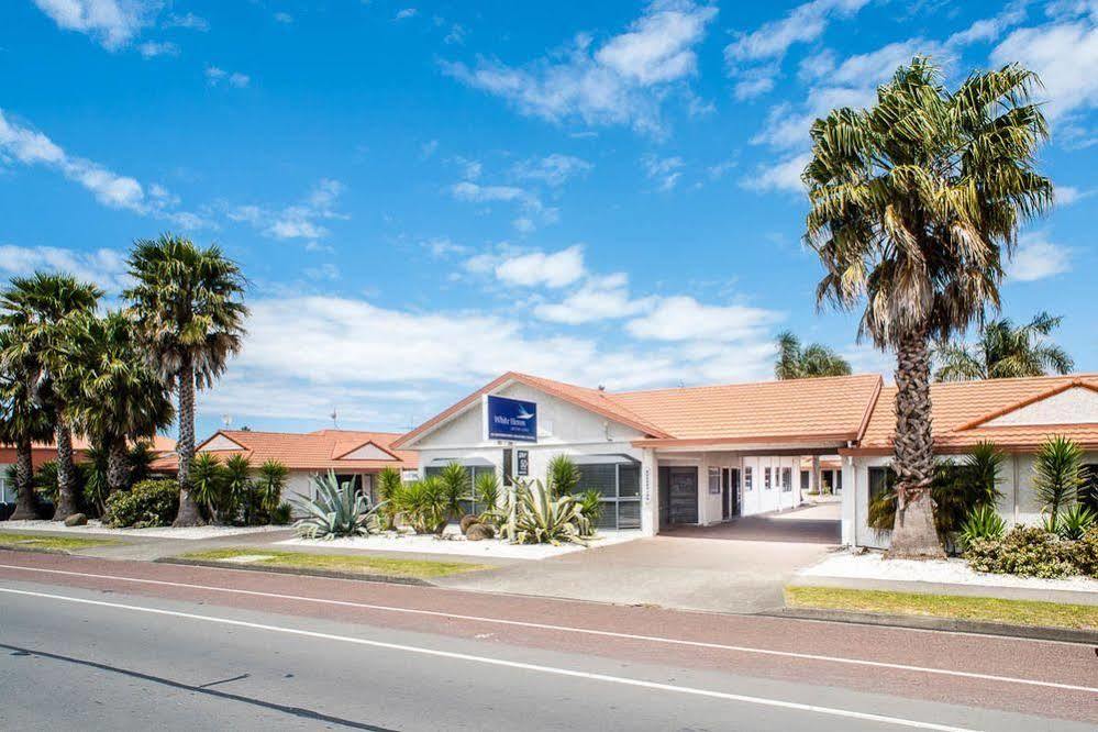 White Heron Motor Lodge Gisborne Eksteriør bilde